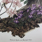 Art & Collectibles > Prints > Lithographs - Maryrose Wampler, Piedmont Azalea Violet, Signed Print, 28x22 Wall Art, Plate...