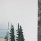 Art & Collectibles > Prints > Lithographs - Richard Timm, Timber Wolf, Signed Print, 28x22 Wade Collection, Plate 34 by Th...
