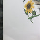 Art & Collectibles > Prints > Lithographs - Maryrose Wampler, Common Sunflower, Signed Print, 28x22 Wall Art, Plate 24 by...