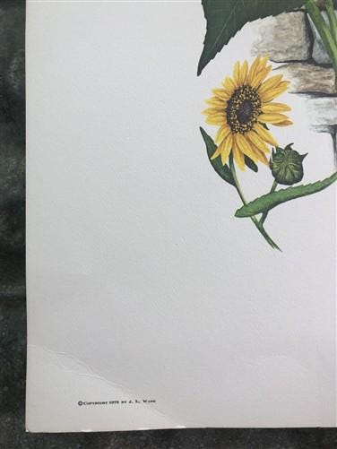 Art & Collectibles > Prints > Lithographs - Maryrose Wampler, Common Sunflower, Signed Print, 28x22 Wall Art, Plate 24 by...