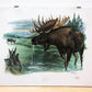 Art & Collectibles > Prints > Lithographs - Richard Timm, Alaska Moose, Signed Print, 28x22 Wade Collection, Plate 18 by T...