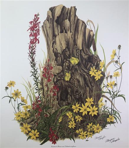 Art & Collectibles > Prints > Lithographs - Maryrose Wampler, Cardinal Flower Sunflower Signed Print 28x22 Wall Art Plate...