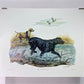 Art & Collectibles > Prints > Lithographs - Ernest Hart, Yellow Black Labradors, Signed Dog Print, 16x20, Wade Collection,...