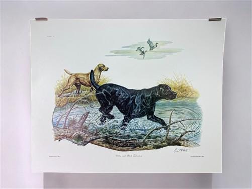 Art & Collectibles > Prints > Lithographs - Ernest Hart, Yellow Black Labradors, Signed Dog Print, 16x20, Wade Collection,...