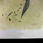 Art & Collectibles > Prints > Lithographs - Richard Sloan, Peregrine Falcon, Signed Print, 11x14, Essay, Sketches, Plate 1...