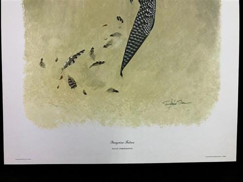 Art & Collectibles > Prints > Lithographs - Richard Sloan, Peregrine Falcon, Signed Print, 11x14, Essay, Sketches, Plate 1...