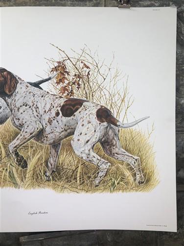 Art & Collectibles > Prints > Lithographs - Ernest Hart, English Pointer, Signed Dog Print, 28x22, Wade Collection, Plate...