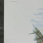 Art & Collectibles > Prints > Lithographs - Maryrose Wampler, Mountain Flowers, Signed Print, 28x22 Wall Art, Plate 30 by...