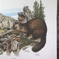 Art & Collectibles > Prints > Lithographs - Richard Timm, Pine Marten, Signed Print, 28x22 Wade Collection, Plate 39 by Th...