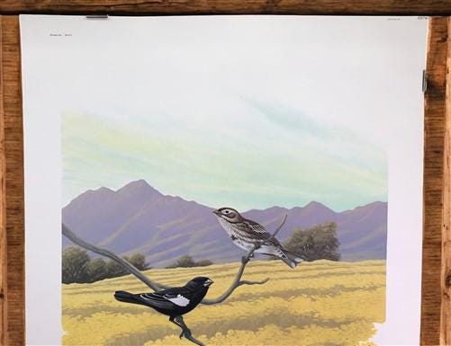 Art & Collectibles > Prints > Lithographs - Richard Sloan, Lark Bunting, Signed Print, 28x22, Wade Collection, Plate 42 by...