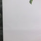Art & Collectibles > Prints > Lithographs - Maryrose Wampler, Wild Rose, Signed Print, 28x22 Wall Art, Plate 22 by The Old...