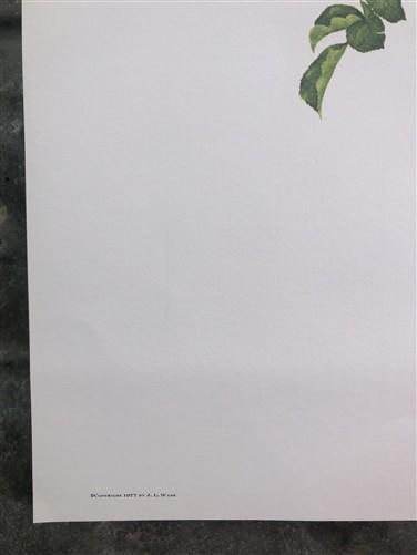 Art & Collectibles > Prints > Lithographs - Maryrose Wampler, Wild Rose, Signed Print, 28x22 Wall Art, Plate 22 by The Old...