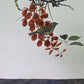 Art & Collectibles > Prints - Axel Amuchastegui, Blue and Yellow Tanager, 20.75x14 South American Bird Print F by The Old...