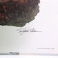 Art & Collectibles > Prints > Lithographs - Richard Sloan, Willow Ptarmigan, Signed Print, 28x22, Wade Collection, Plate 3...