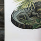 Art & Collectibles > Prints > Lithographs - Richard Timm, Florida Key Deer, Signed Print, 28x22 Wade Collection, Plate 15...