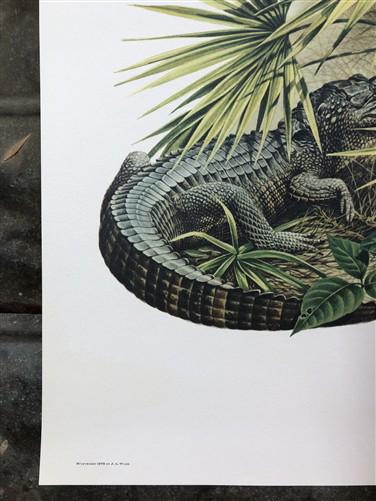 Art & Collectibles > Prints > Lithographs - Richard Timm, Florida Key Deer, Signed Print, 28x22 Wade Collection, Plate 15...