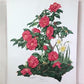 Maryrose Wampler, Camellia, Signed Print, 28x22 Wall Art, Plate 19