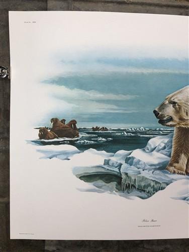 Art & Collectibles > Prints > Lithographs - Richard Timm, Polar Bear, Signed Print, 28x22 Wade Collection, Plate 30 by The...