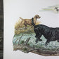 Art & Collectibles > Prints > Lithographs - Ernest Hart, Labrador, Signed Dog Print, 28x22, Wade Collection, Plate 5 by Th...