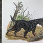 Art & Collectibles > Prints > Lithographs - Ernest Hart, Irish Setter, Signed Dog Print, 28x22, Wade Collection, Plate 4 b...