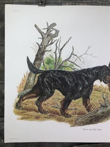 Art & Collectibles > Prints > Lithographs - Ernest Hart, Irish Setter, Signed Dog Print, 28x22, Wade Collection, Plate 4 b...