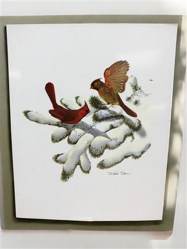 Art & Collectibles > Prints - 15 Miniature 4x5 Richard Sloan North American Bird Art Prints, Nature House A by The Old Gra...