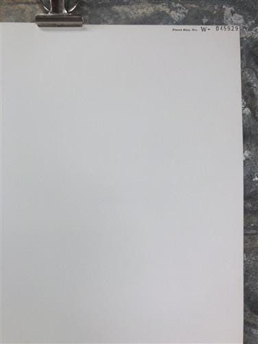 Art & Collectibles > Prints > Lithographs - Maryrose Wampler, Daisy Mum, Signed Print, 28x22 Wall Art, Plate 4 by The Old...