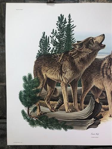 Art & Collectibles > Prints > Lithographs - Richard Timm, Timber Wolf, Signed Print, 28x22 Wade Collection, Plate 34 by Th...