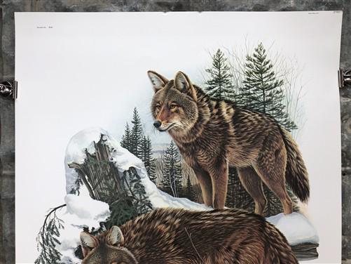 Art & Collectibles > Prints > Lithographs - Richard Timm, Coyote, Signed Print, 28x22 Wade Collection, Plate 21 by The Old...