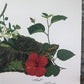 Art & Collectibles > Prints > Lithographs - Maryrose Wampler, Hibiscus Orange Blossom, Signed Print, 28x22 Wall Art, Plate...