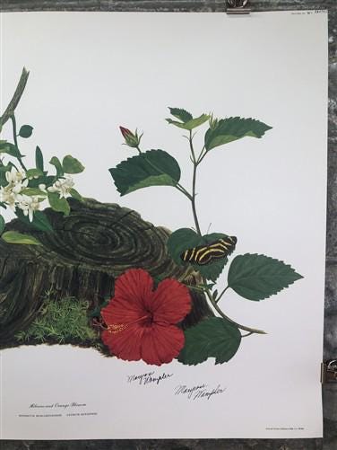 Art & Collectibles > Prints > Lithographs - Maryrose Wampler, Hibiscus Orange Blossom, Signed Print, 28x22 Wall Art, Plate...