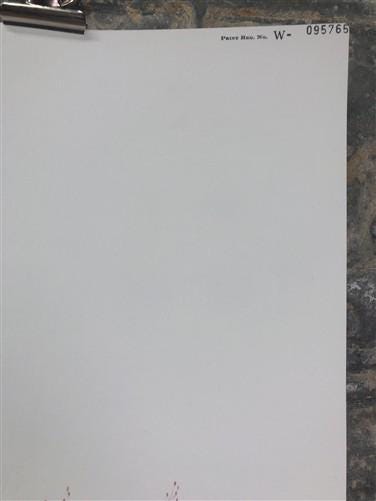 Art & Collectibles > Prints > Lithographs - Maryrose Wampler, Piedmont Azalea Violet, Signed Print, 28x22 Wall Art, Plate...