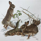 Art & Collectibles > Prints > Lithographs - Richard Timm, Eastern Cottontail, Signed Print, 28x22 Wade Collection, Plate 9...