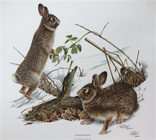 Art & Collectibles > Prints > Lithographs - Richard Timm, Eastern Cottontail, Signed Print, 28x22 Wade Collection, Plate 9...