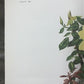 Art & Collectibles > Prints > Lithographs - Maryrose Wampler, Single Yellow Rose, Signed Print, 28x22, Wall Art, Plate 7 b...
