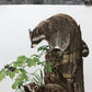 Art & Collectibles > Prints > Lithographs - Richard Timm, Racoon, Signed Prints, 28x22 Wade Collection, Plate 2 by The Old...