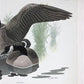 Art & Collectibles > Prints > Lithographs - Richard Sloan, Canada Goose, Signed Print, 11x14, Essay, Sketches, Plate 16 by...