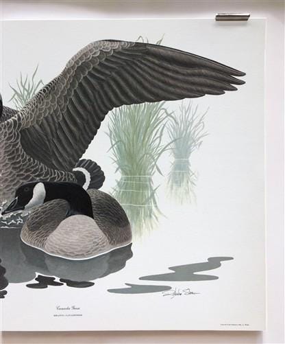 Art & Collectibles > Prints > Lithographs - Richard Sloan, Canada Goose, Signed Print, 11x14, Essay, Sketches, Plate 16 by...
