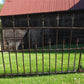 Home & Living > Outdoor & Gardening > Garden Decoration > Yard Art - Wrought Iron Vintage Fence Panel (95x37) Architectura...