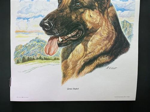 Art & Collectibles > Prints > Lithographs - Ernest Hart, German Shepherd, Signed Dog Print, 16x20, Wade Collection, A by T...