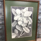 Home & Living > Home Decor > Wall Decor > Wall Hangings - Mark Catesby, Magnolia Altissima, Plate 61, Ehret, Framed Botani...