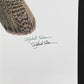 Art & Collectibles > Prints > Lithographs - Richard Sloan, Spruce Grouse, Signed Print, 28x22, Wade Collection, Plate 39 b...