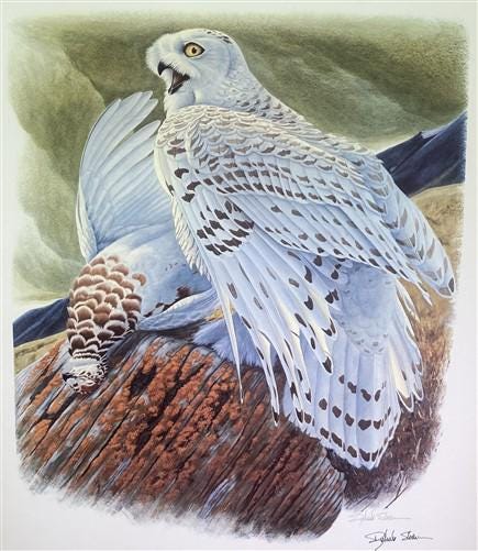 Art & Collectibles > Prints > Lithographs - Richard Sloan, Snowy Owl, Signed Print, 28x22, Wade Collection, Plate 30 by Th...