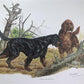 Art & Collectibles > Prints > Lithographs - Ernest Hart, Irish Setter, Signed Dog Print, 28x22, Wade Collection, Plate 4 b...