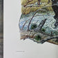 Art & Collectibles > Prints > Lithographs - Ernest Hart, Yellow Black Labradors, Signed Dog Print, 16x20, Wade Collection,...
