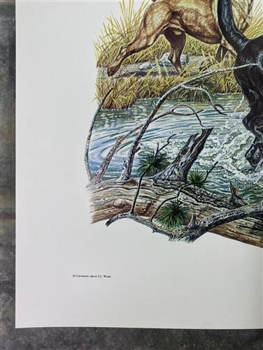 Art & Collectibles > Prints > Lithographs - Ernest Hart, Yellow Black Labradors, Signed Dog Print, 16x20, Wade Collection,...