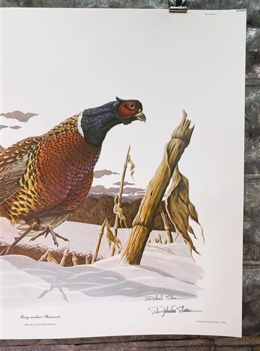 Art & Collectibles > Prints > Lithographs - Richard Sloan, Ring-Necked Pheasant, Signed Print, 28x22 Wade Collection Plate...