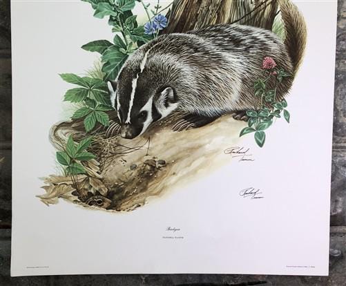 Art & Collectibles > Prints > Lithographs - Richard Timm, Badger, Signed Print, 28x22 Wade Collection, Plate 10 by The Old...