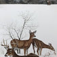 Art & Collectibles > Prints > Lithographs - Richard Timm, White Tailed Deer, Signed Print, 28x22 Wade Collection, Plate 7...