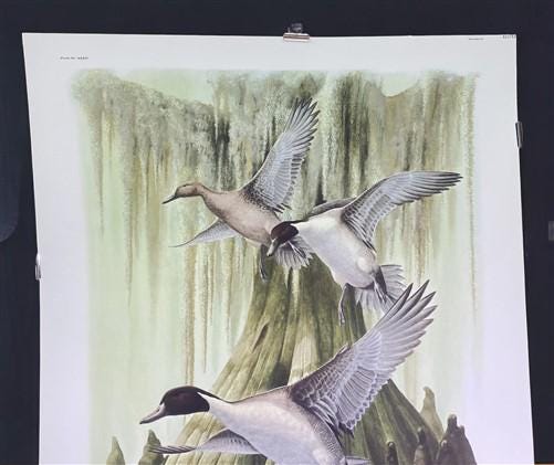 Art & Collectibles > Prints > Lithographs - Richard Sloan, Pintail, Signed Print, 28x22, Wade Collection, Plate 32 by The...